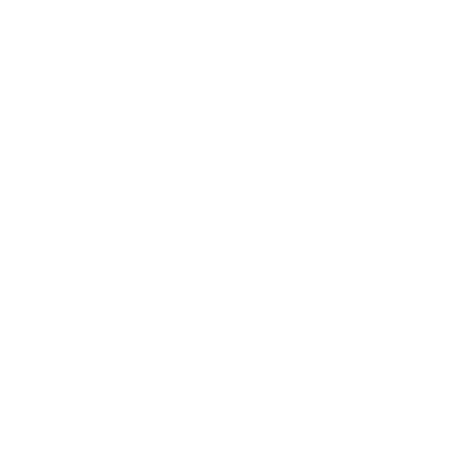 Virginia Youth Civics & Leadership Association